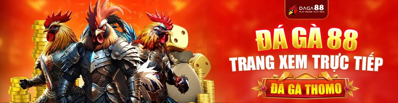 rr88bet An Toàn và Bảo Mật