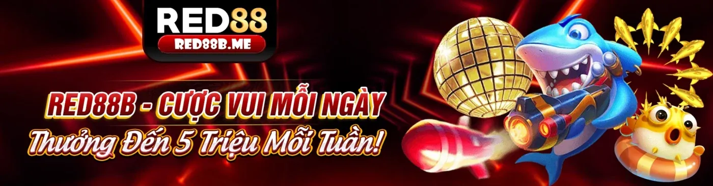 Giao diện ứng dụng rr88bet trên điện thoại