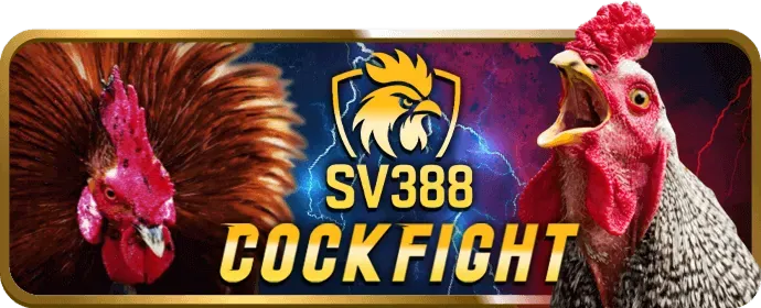 Sự kiện đặc biệt rr88bet